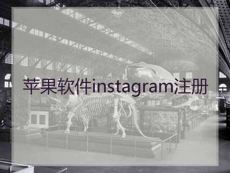 苹果软件instagram注册