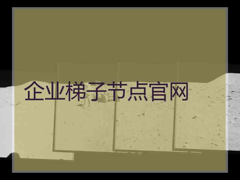 企业梯子节点官网