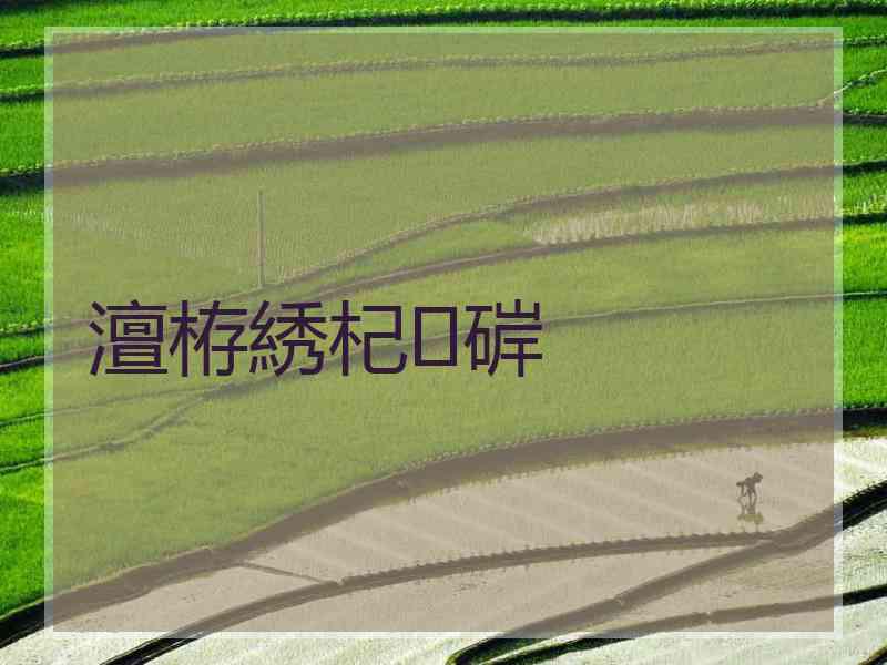 澶栫綉杞硸