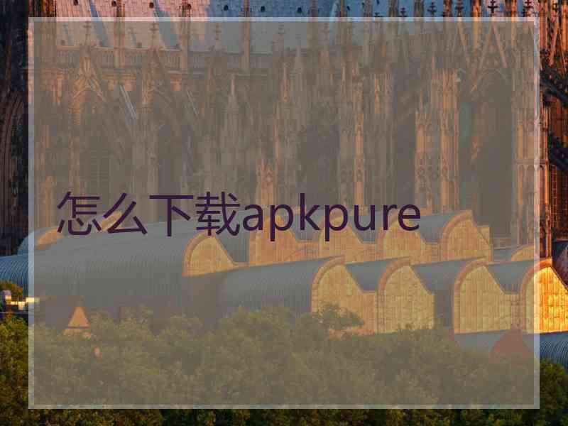 怎么下载apkpure