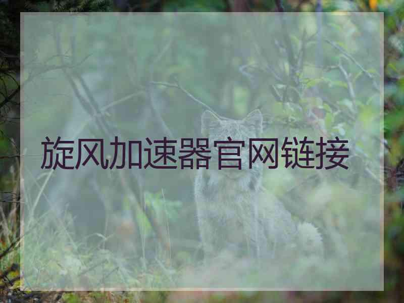 旋风加速器官网链接