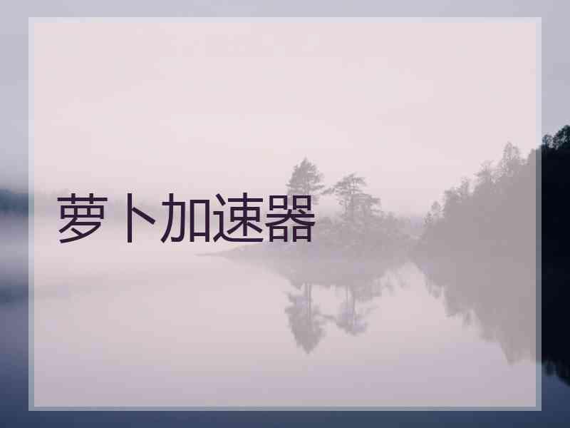 萝卜加速器