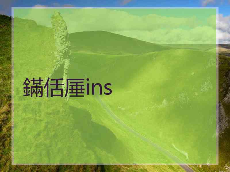 鏋佸厜ins