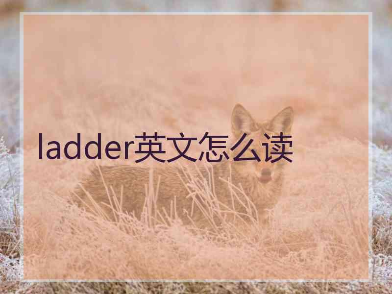 ladder英文怎么读