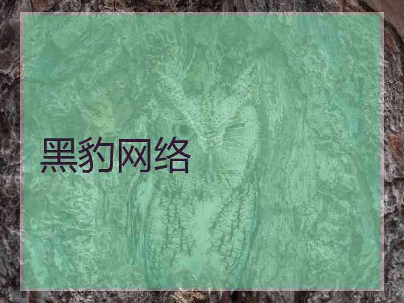 黑豹网络