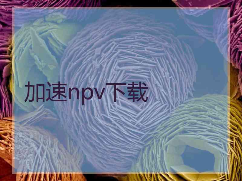 加速npv下载