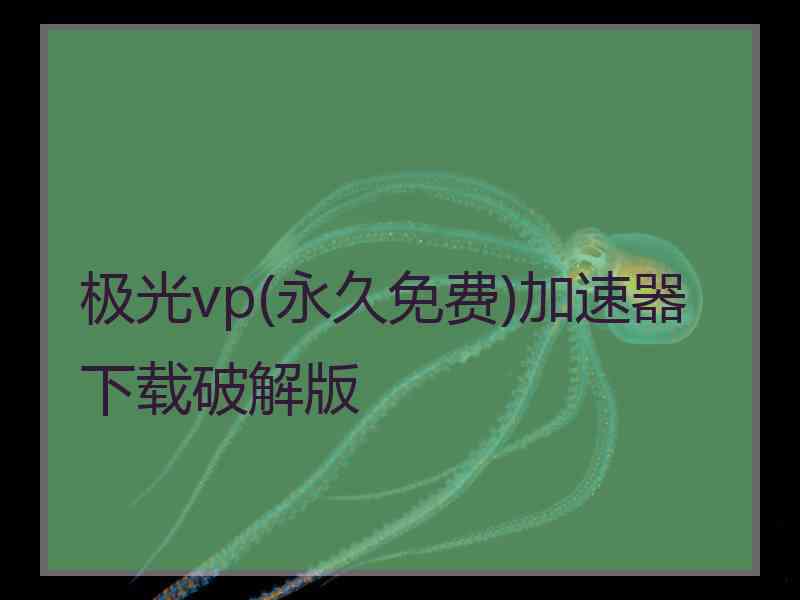 极光vp(永久免费)加速器下载破解版
