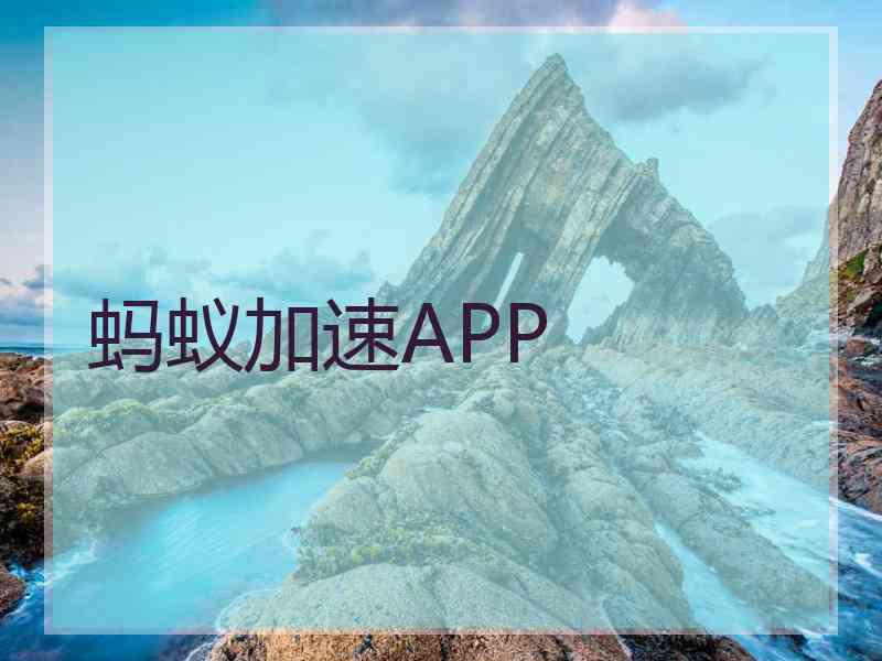 蚂蚁加速APP