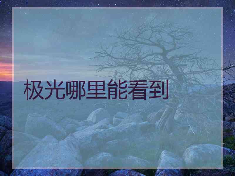极光哪里能看到