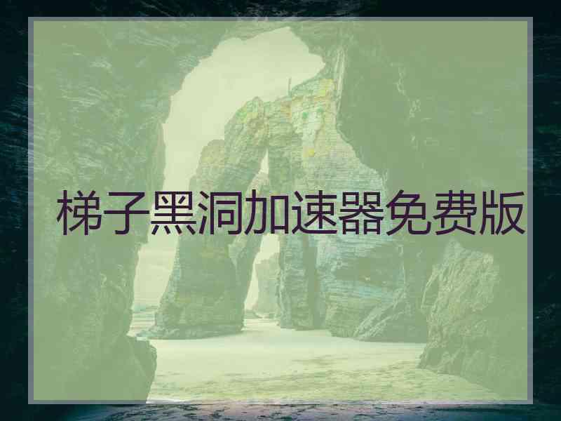 梯子黑洞加速器免费版