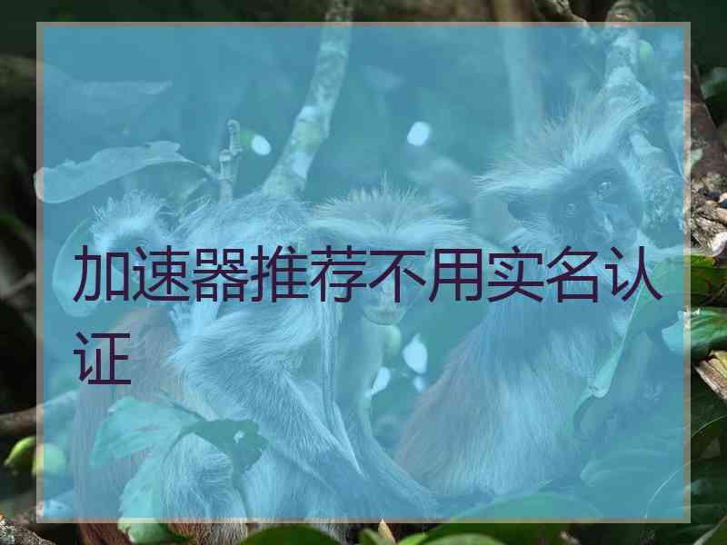 加速器推荐不用实名认证