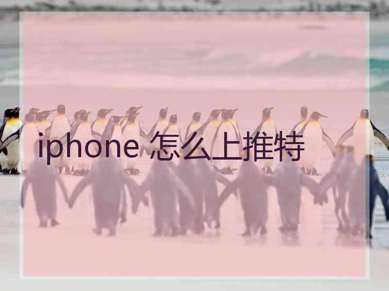 iphone 怎么上推特