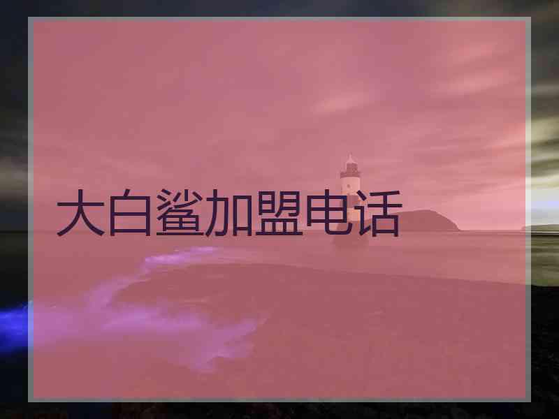 大白鲨加盟电话