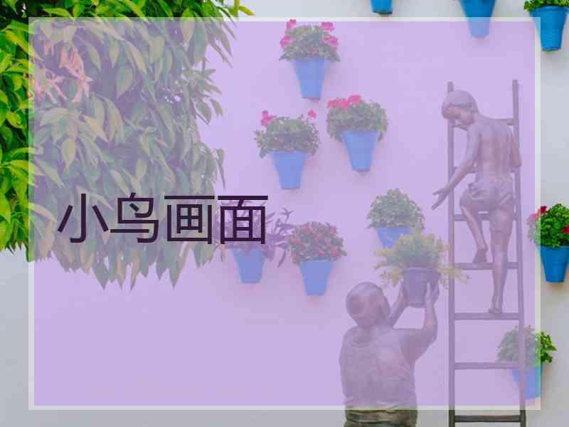小鸟画面