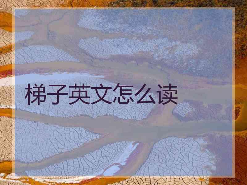 梯子英文怎么读