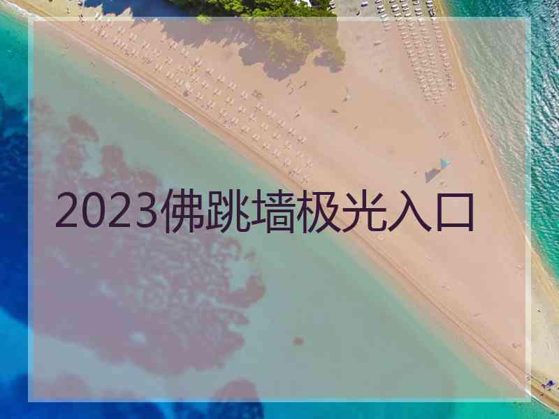 2023佛跳墙极光入口