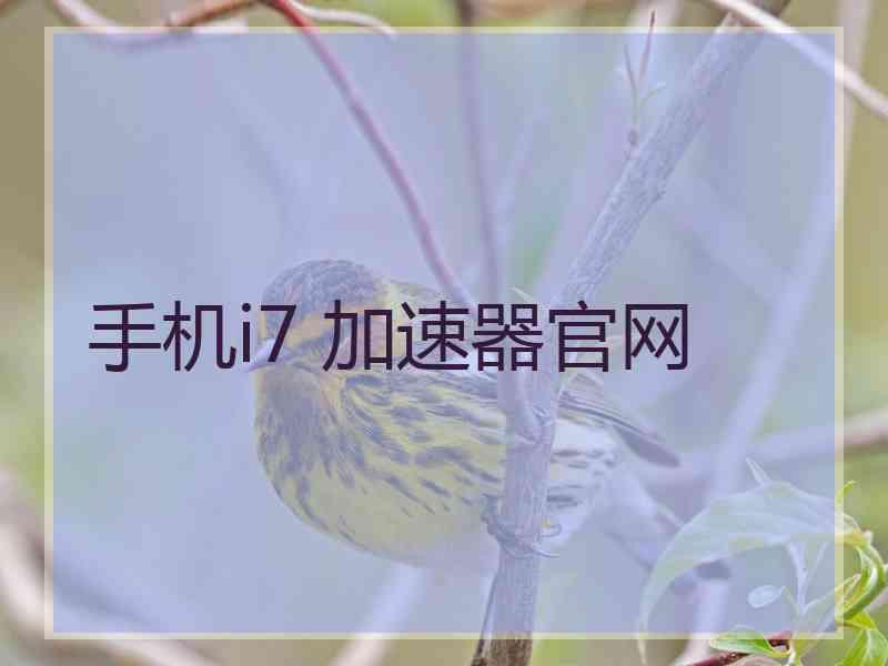 手机i7 加速器官网