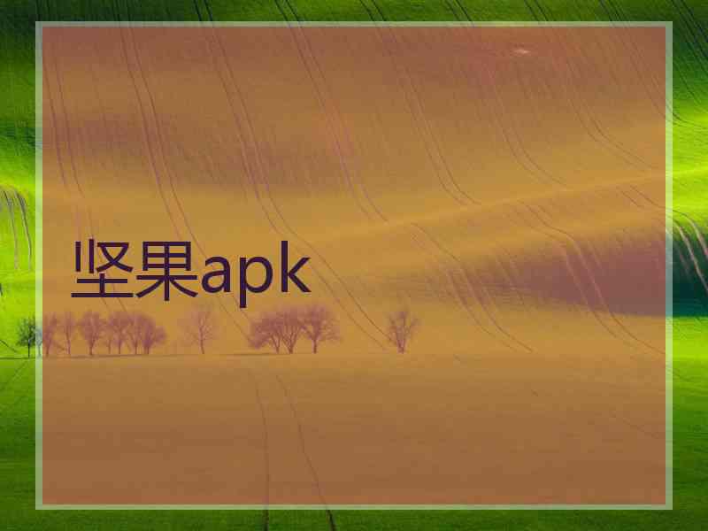 坚果apk