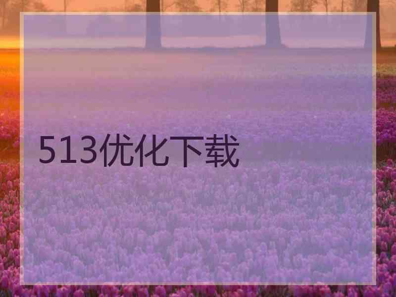 513优化下载