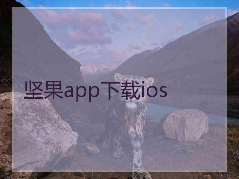 坚果app下载ios