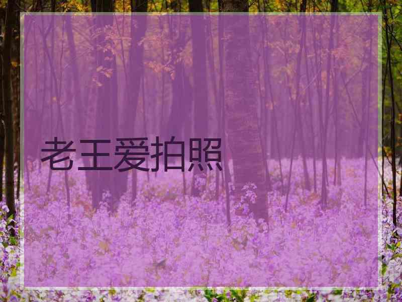 老王爱拍照
