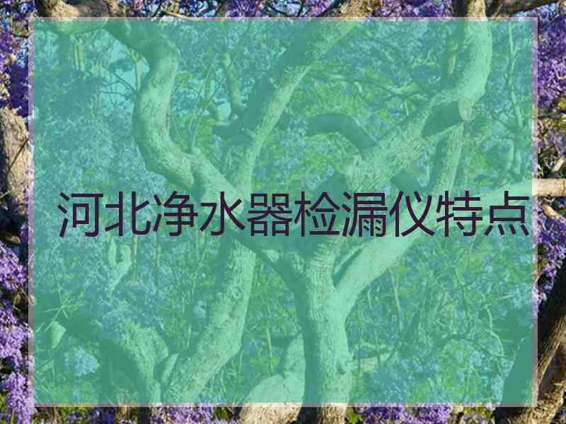 河北净水器检漏仪特点