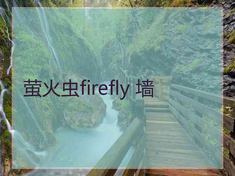 萤火虫firefly 墙