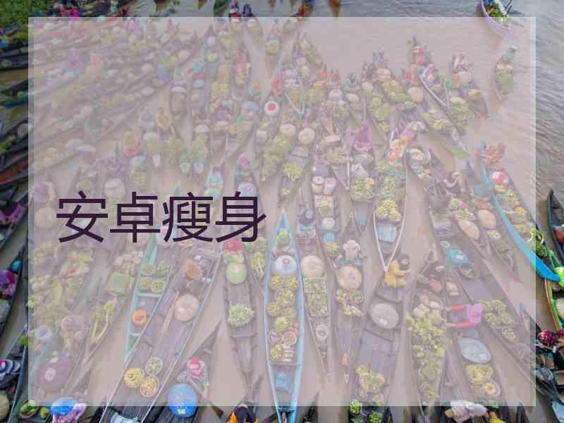 安卓瘦身