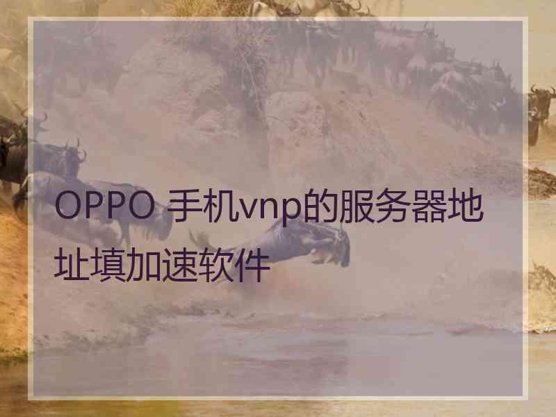 OPPO 手机vnp的服务器地址填加速软件