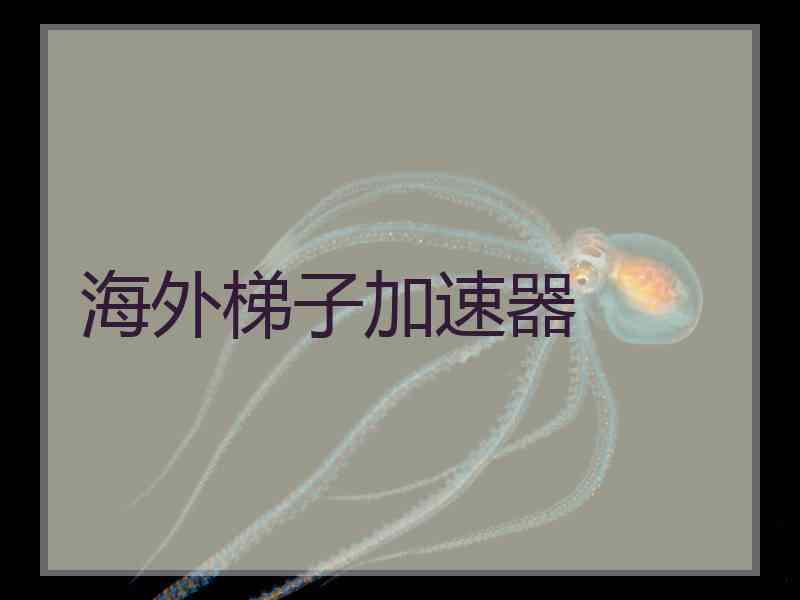 海外梯子加速器