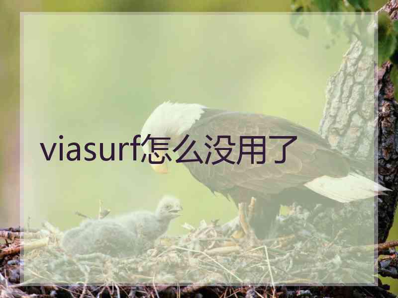 viasurf怎么没用了