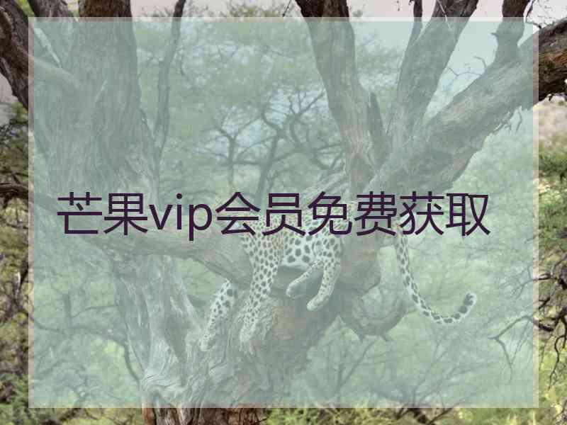 芒果vip会员免费获取