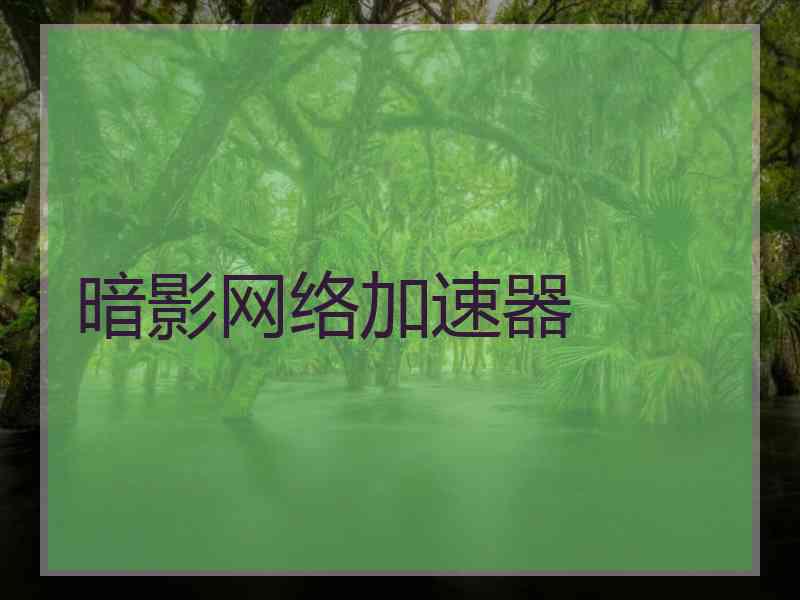 暗影网络加速器