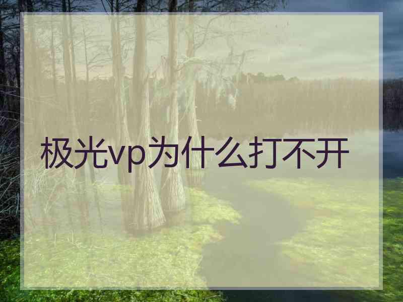 极光vp为什么打不开