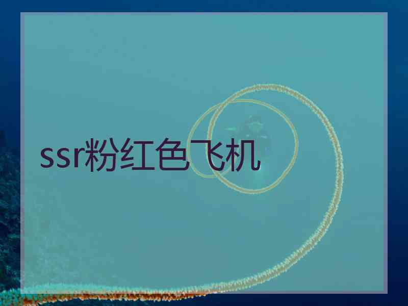 ssr粉红色飞机