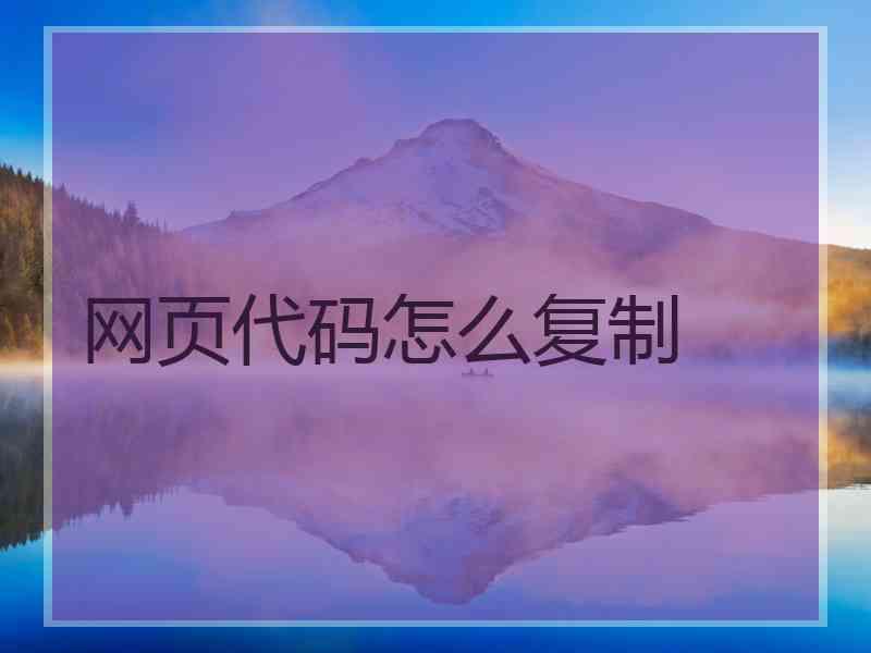网页代码怎么复制