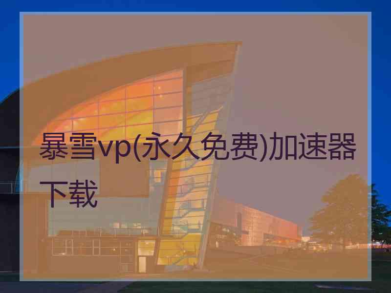 暴雪vp(永久免费)加速器下载
