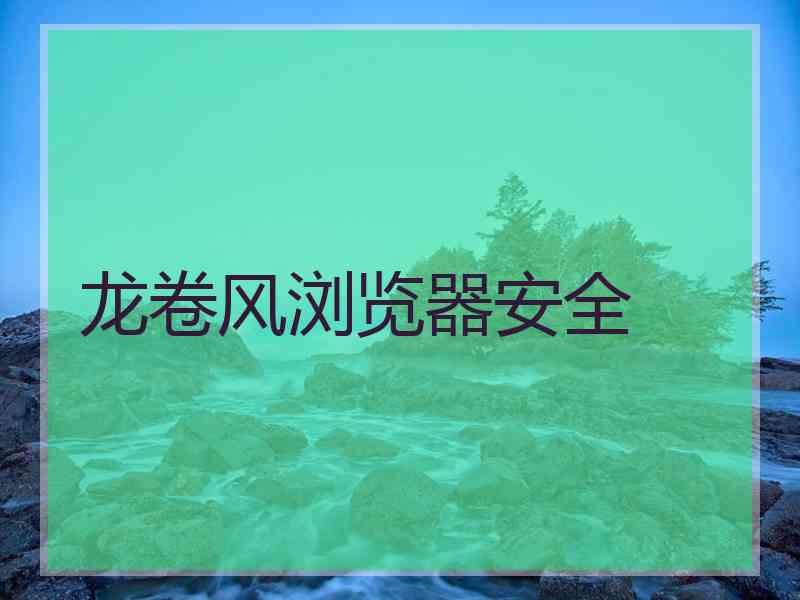 龙卷风浏览器安全