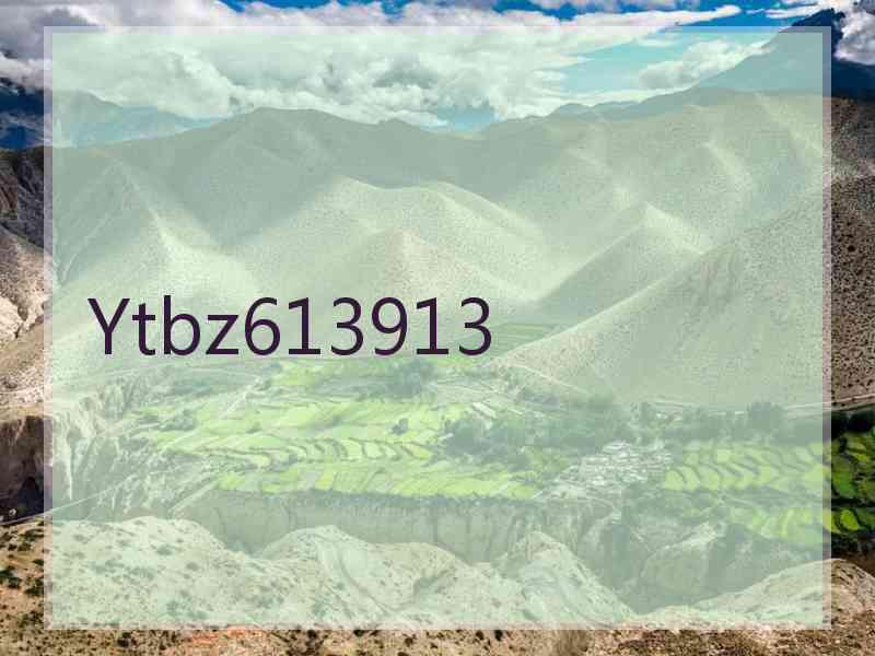 Ytbz613913