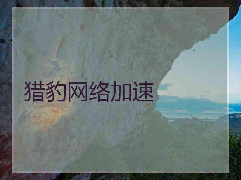 猎豹网络加速