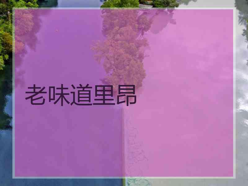 老味道里昂