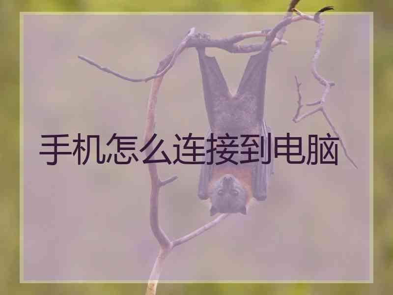 手机怎么连接到电脑