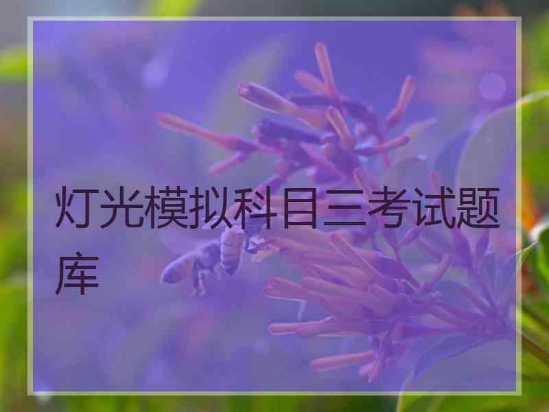 灯光模拟科目三考试题库