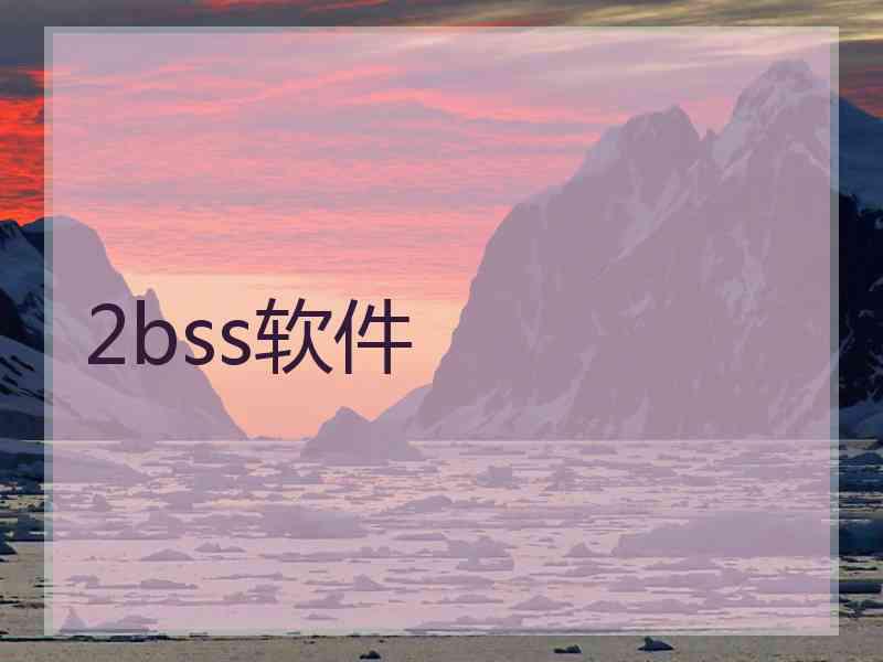 2bss软件