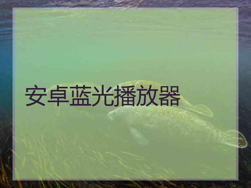 安卓蓝光播放器