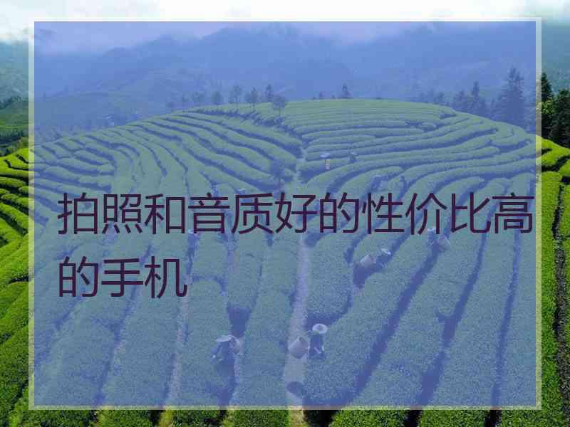 拍照和音质好的性价比高的手机