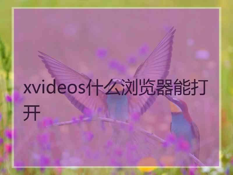 xvideos什么浏览器能打开