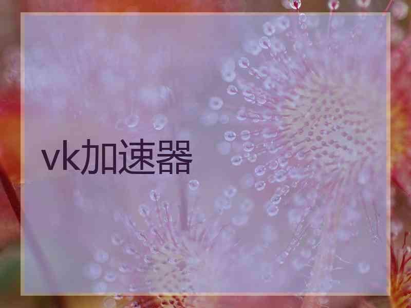 vk加速器
