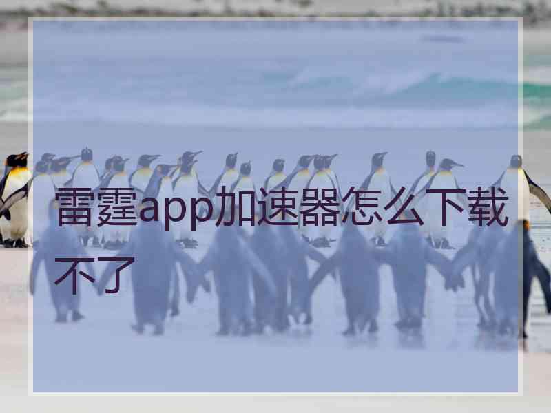 雷霆app加速器怎么下载不了