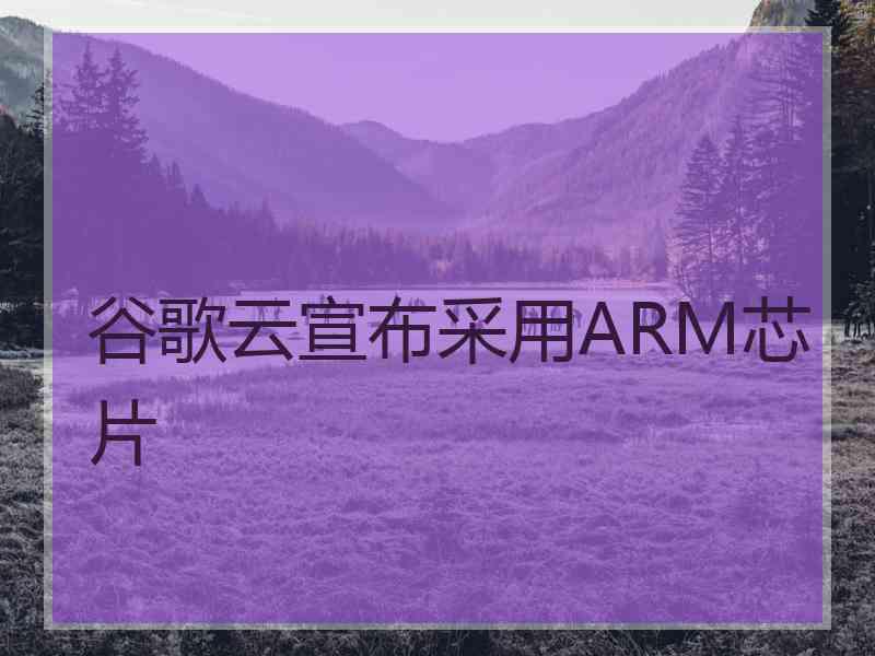 谷歌云宣布采用ARM芯片